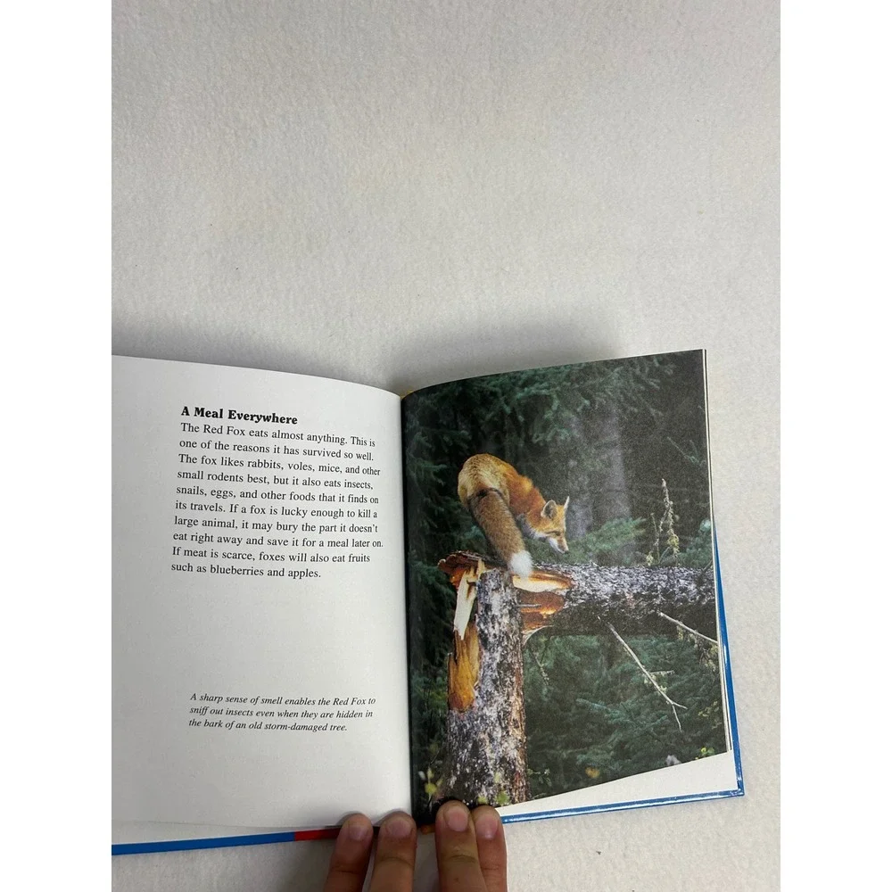 Nature‎ Wildlife Scholastic Childrens Hardcover Blue River Otters Red Fox Book